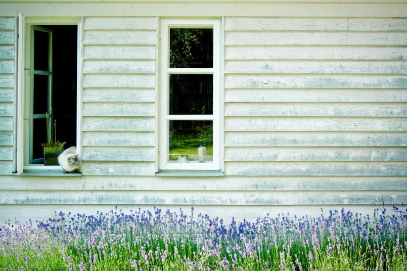 Holzfassade eines Hauses mit Fenstern.