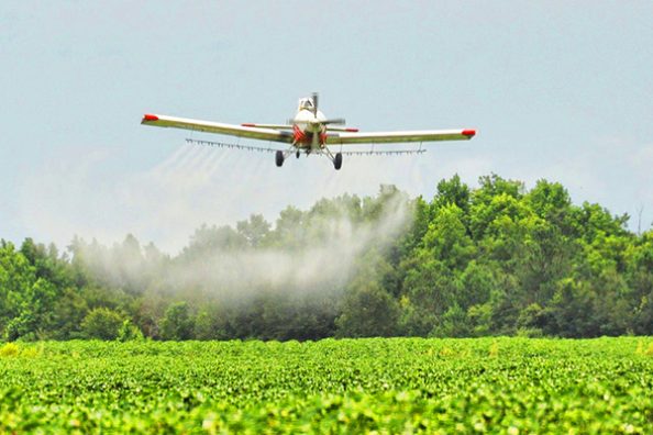 Ein Flugzeug setzt über einem landwirtschaftlich genutzten Feld im Tiefflug Düngemittel frei.