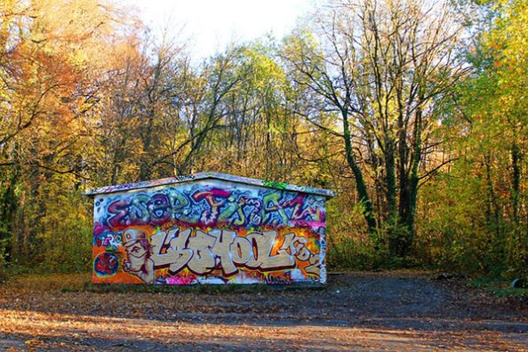 Eine mit Graffiti besprühte Wand in einem Park.