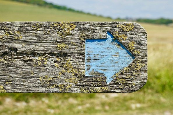 Mikroskopische Aufnahme zeigt die beeindruckende Wirkung von Edelstahlflocken im wasserbasierten Holzanstrich