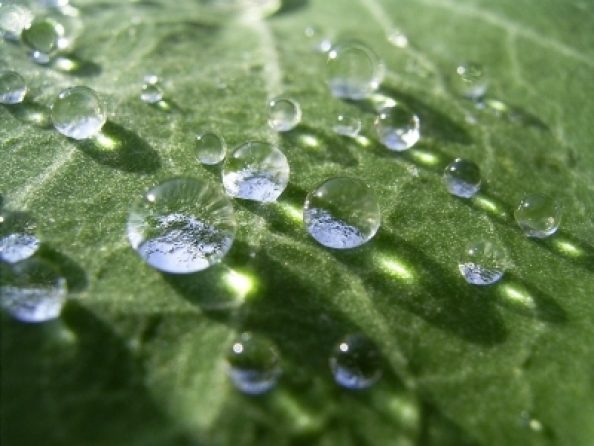 Die Forschung beweist, dass das Volumen der Tropfen einen unterschiedlichen Effekt auf die Benetzungslänge auf hydrophilen Oberflächen im Vergleich zu SHS hat.